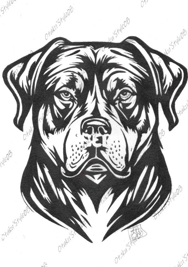 Rottweiler