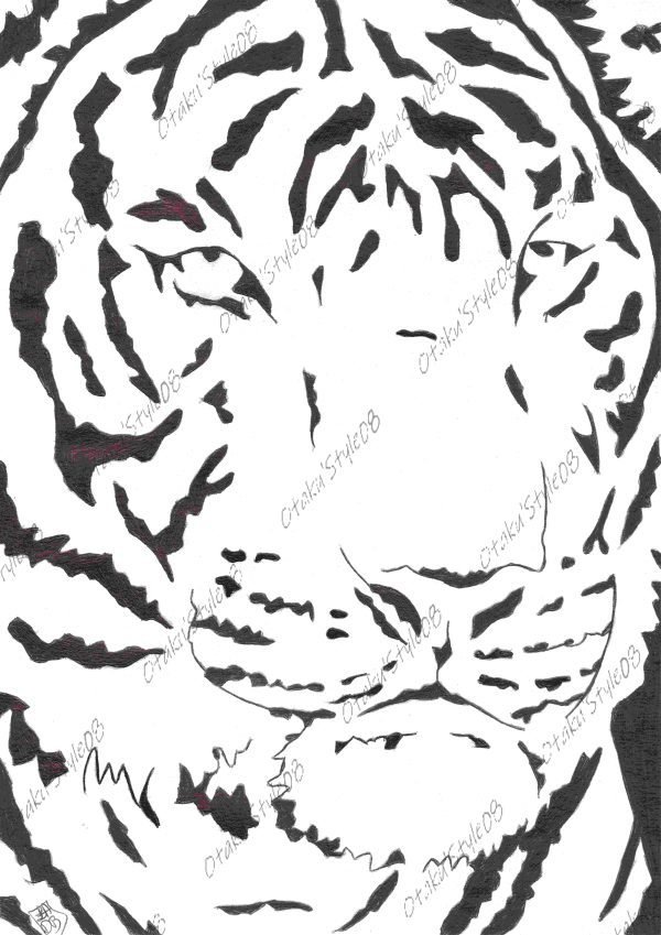 Tigre