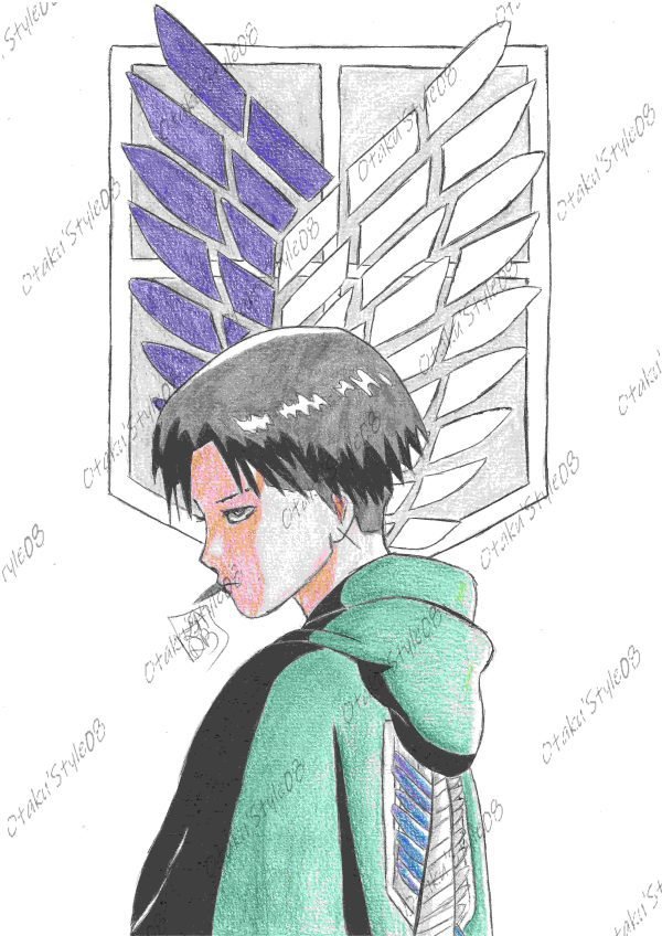 Levi Ackerman