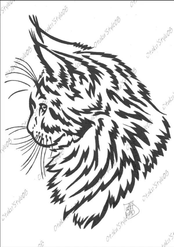 Maine Coon